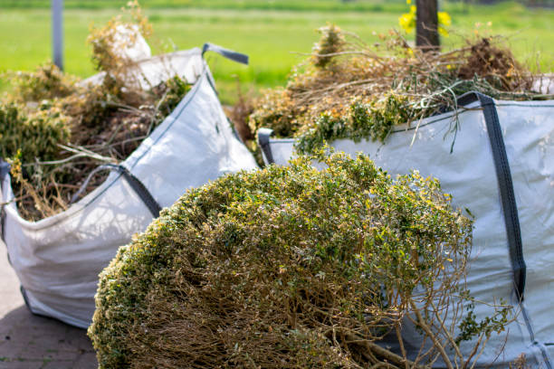 Debris Removal in Salem, NC